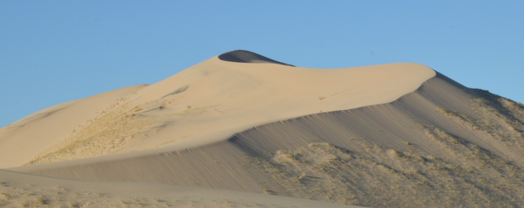 DSC_0243_Dune