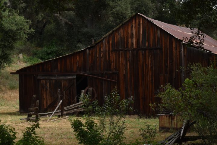 Daley Ranch 3