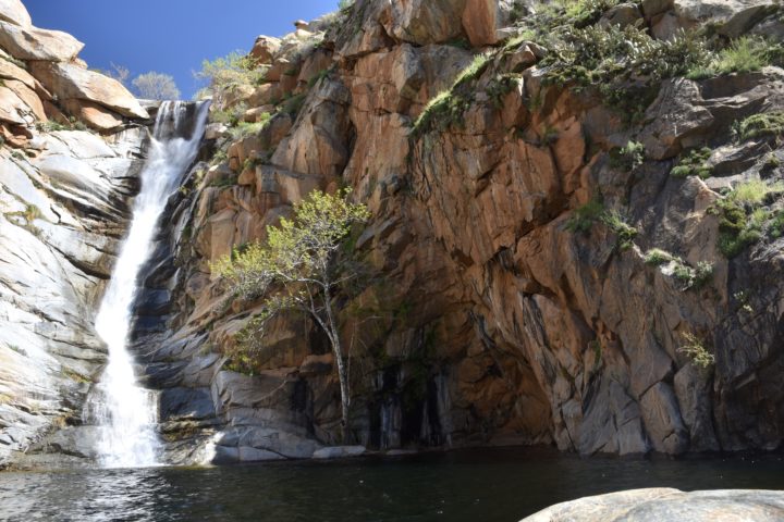 Cedar Creek Falls