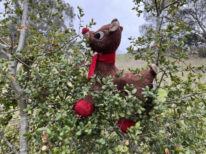 Invasive Flying Reindeer